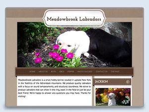 Meadowbrook Labs