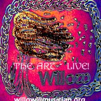 The Art~Live! by Willow Family Band