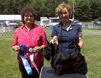 June 21, 2008 Calah earns her UKC(United Kennel Club) championship title in just four consecutive shows. A special highlight was winning the Terrier Group as well.
