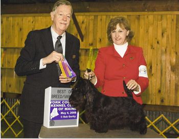 May 2008 in Acton Maine Calah wins Best Bred by Exhibitor group 1 Terriers
