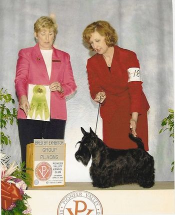 Velma was awarded Terrier Group3 in the Bred By Class. What an honor! Judge Charlotte Patterson honors us with the win.

