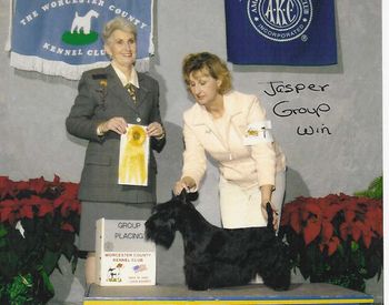 What a Christmas present! Jasper took second place in the Terrier Group under Terrier expert, Judge Ann Hearn.
