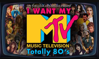 Fabulous Armadillos | I Want My MTV (Totally 80's)