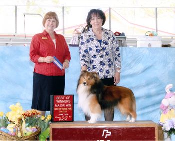 Tech's first major. Best of Winners. Greater Orange Park Dog Club. April 2012
