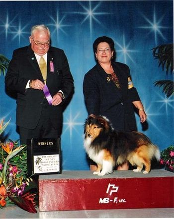 On March 11, 2007 at the Palm Beach County Dog Fanciers Association show, Judge James R. White awarded Kody Winners Dog for his first point.
