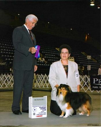 On Friday August 3, 2007 at the Roanoke Kennel Club in Virginia, Judge Charles Trotter awarded Kody Winners Dog.
