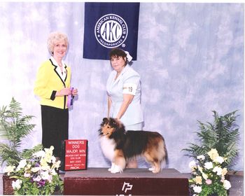 Judy Stachowski helped Teddy win his third three point major in Judge June A Pentas ring at the Greater Fort Myers DC on May 22, 2005.

