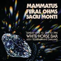 MAMMATUS | FERAL OHMS | SACRI MONTI