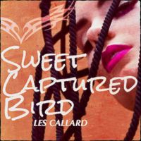Sweet Captured Bird by Les Callard