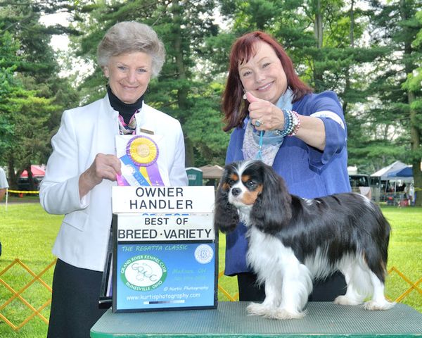 Siena goes BOB at age 20 months. Thank you judge Florence Males