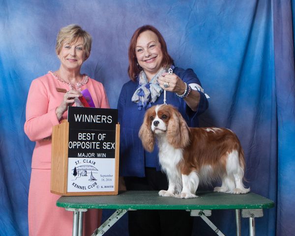 Viola wins a major!
Thank you, Judge Charlotte Patterson