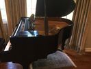 Altenburg Baby Grand Piano- SOLD.