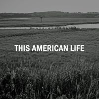 This American Life by Diego Allessandro