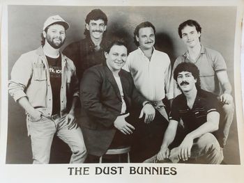 The Dust Bunnies
