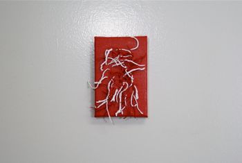 Red and white acrylic strings out of canvas (2011)
