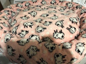 SOLD#6 Sheep Donut Bed $20
