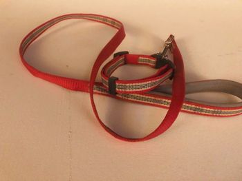 SOLD#15 Plaid Small leash and collar set $5
