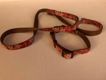 SOLD#12 Pink and Brown Leash and Collar Set $5
