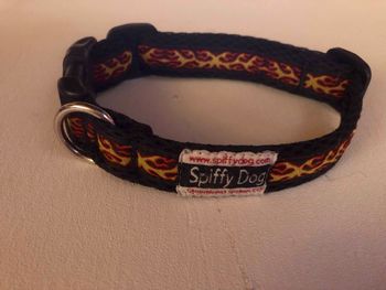 52 Spiffy Dog Air Collars $5
