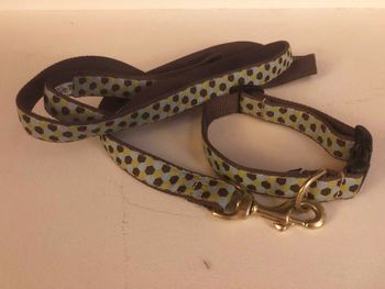 11 Up Country Honey Comb Leash and Collar Set med $10
