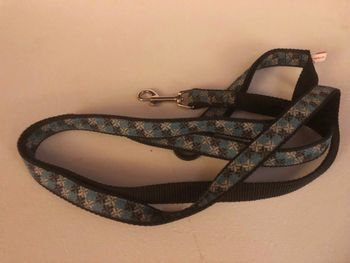SOLD#79 RC 6 Foot leash $4
