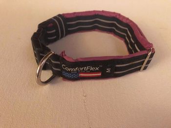 53 Comfort Flex WATER collar $5
