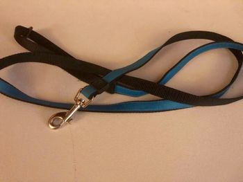 SOLD#78 6 foot leash $4
