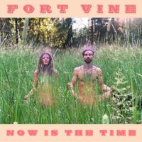Now Is the Time by FORT VINE