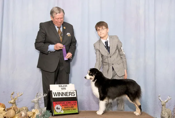 AKC GCh Ch Milwin's One Moment In Time CGC, FDC, TKN pictured with her talented junior handler friend.
