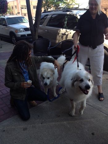 coffee and canines on the streets of Ludington
