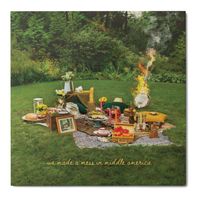 We Made a Mess in Middle America : CD