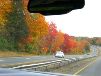Fall foilage in Connecticut
