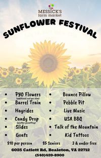 Sunflower Festival 