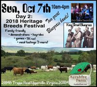 Heritage Breeds Festival | Ayrshire Farms