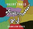 Chameleon Bones: CD