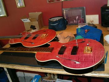 electronics removed, bridges replaced with Schaller 8-string, empty pickup covers
