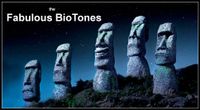 The Fabulous BioTones Rock Calistoga!