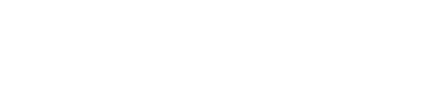 THE BIRDSONGS