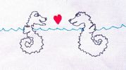 Seahorse love