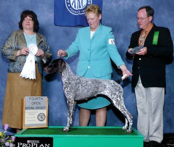 Misty winning 4th Place in the Open Bitch Class at the German Shorthaired Pointer Club of America 2008 National Specialty
