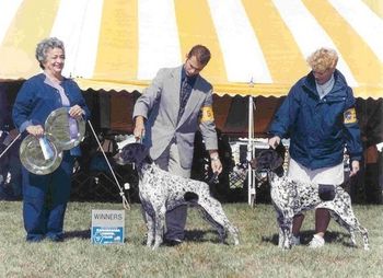 WD an WB with littermates for 2 majors (NSCh. Minado's Parade Drum Major x Ch. Olde Ridge Moonlight 'N Magnolia) (l) Ch. Olde Ridge Ben There Done That owned by Ann King, Bonita Kipp and Dennis Matteson (r) Ch. Olde Ridge Classy Cassy owned by Irv Loock
