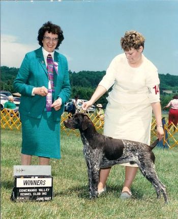 Ch. Olde Ridge Milo Meadows, 1987 ( Ch. Kingswood's Maximilian x Ch. Olde Ridge Naughty Nelly, CD) owned by Fred and Roberta Rolland, Fulton, NY
