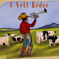 6 Volt Rodeo at Bauser’s
