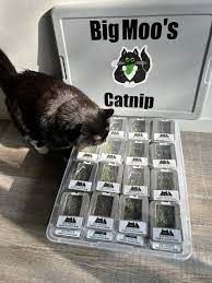 Locally sourced and grown catnip products
