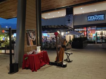 Playing at The Hill Country Galleria Holiday Market in Bee Cave, TX
