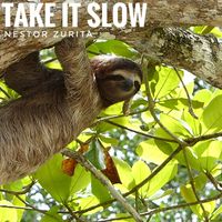 Take it Slow by Nestor Zurita
