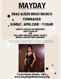 Drag Queen Bingo Brunch Fundraiser