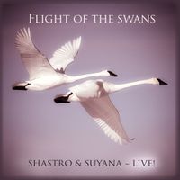 Flight of the Swans • LIVE (MP3) by Shastro & Suyana
