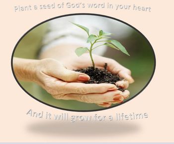 Plant a seed of God's word in your heart and it will grow for a lifetime
