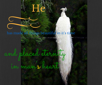 He has made all things beautiful in it's time and placed eternity in man's heart
